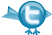 Follow me on Twitter